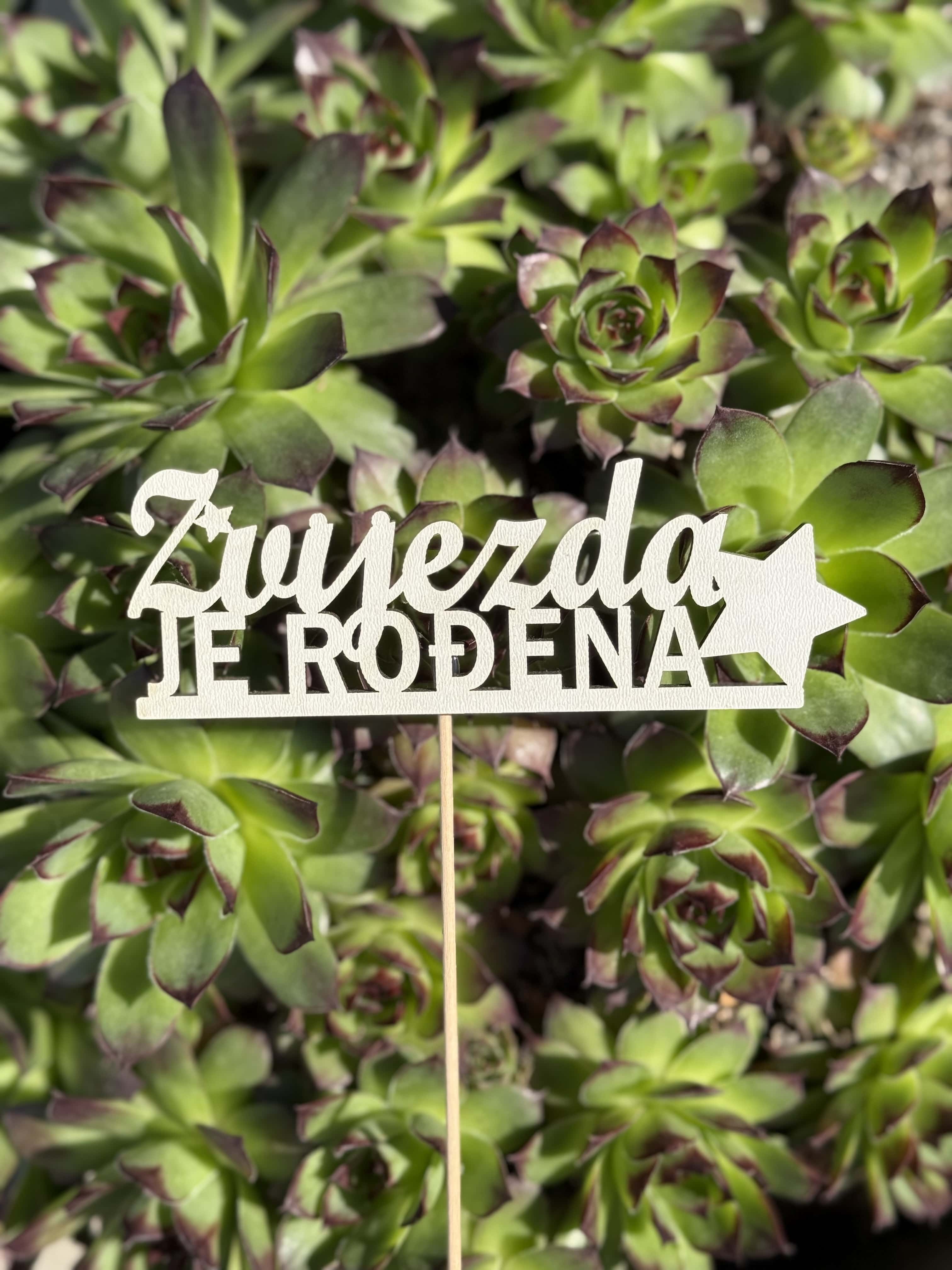 Toper za tortu ili cvjetni aranžman Zvijezda je rođena 035